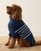 ORGANIC COTTON STRIPED DOG SWEATER
