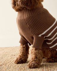 ORGANIC COTTON STRIPED DOG SWEATER