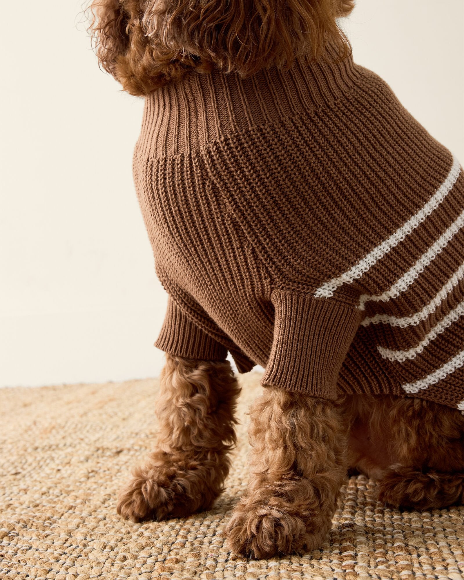 ORGANIC COTTON STRIPED DOG SWEATER