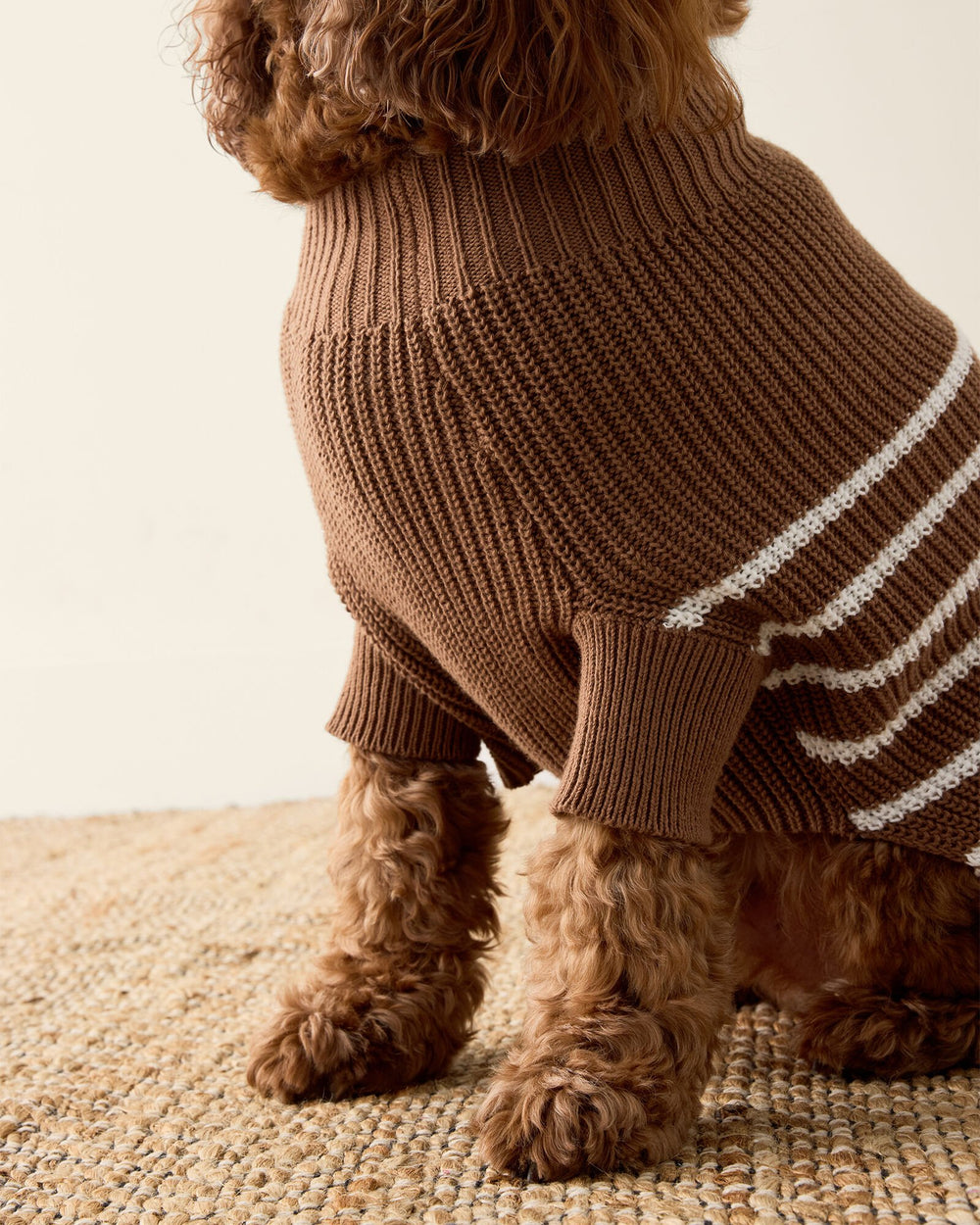ORGANIC COTTON STRIPED DOG SWEATER