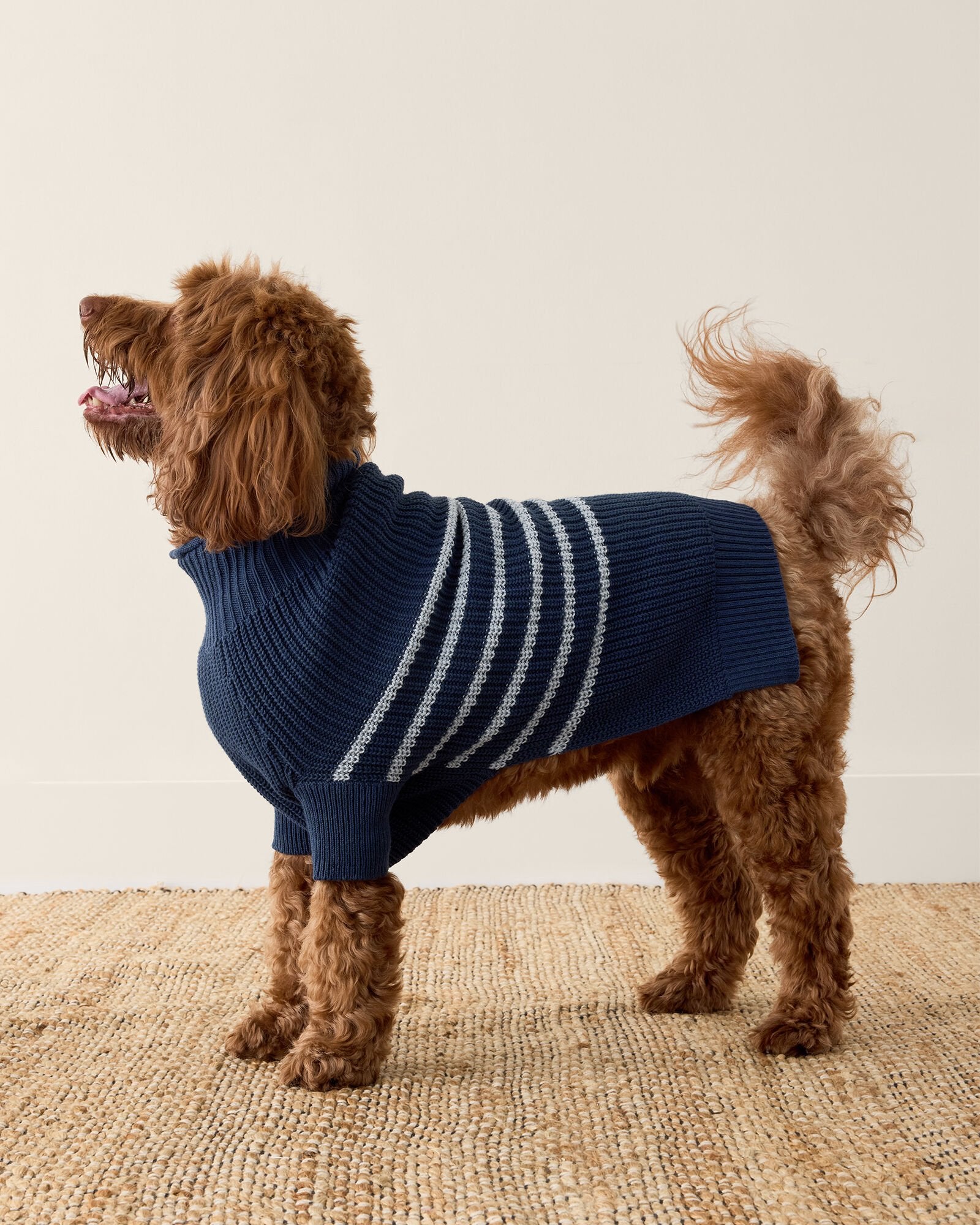 ORGANIC COTTON STRIPED DOG SWEATER