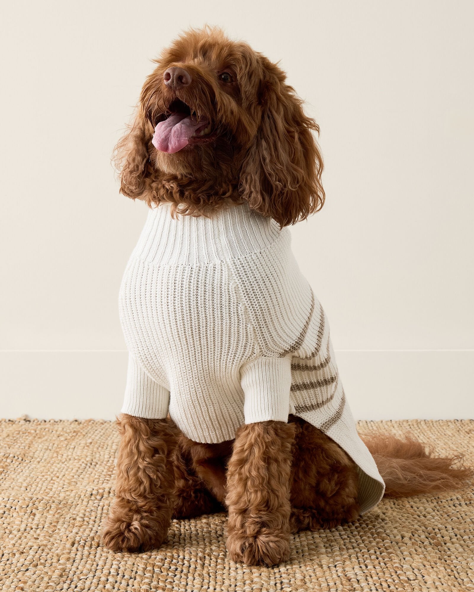 ORGANIC COTTON STRIPED DOG SWEATER