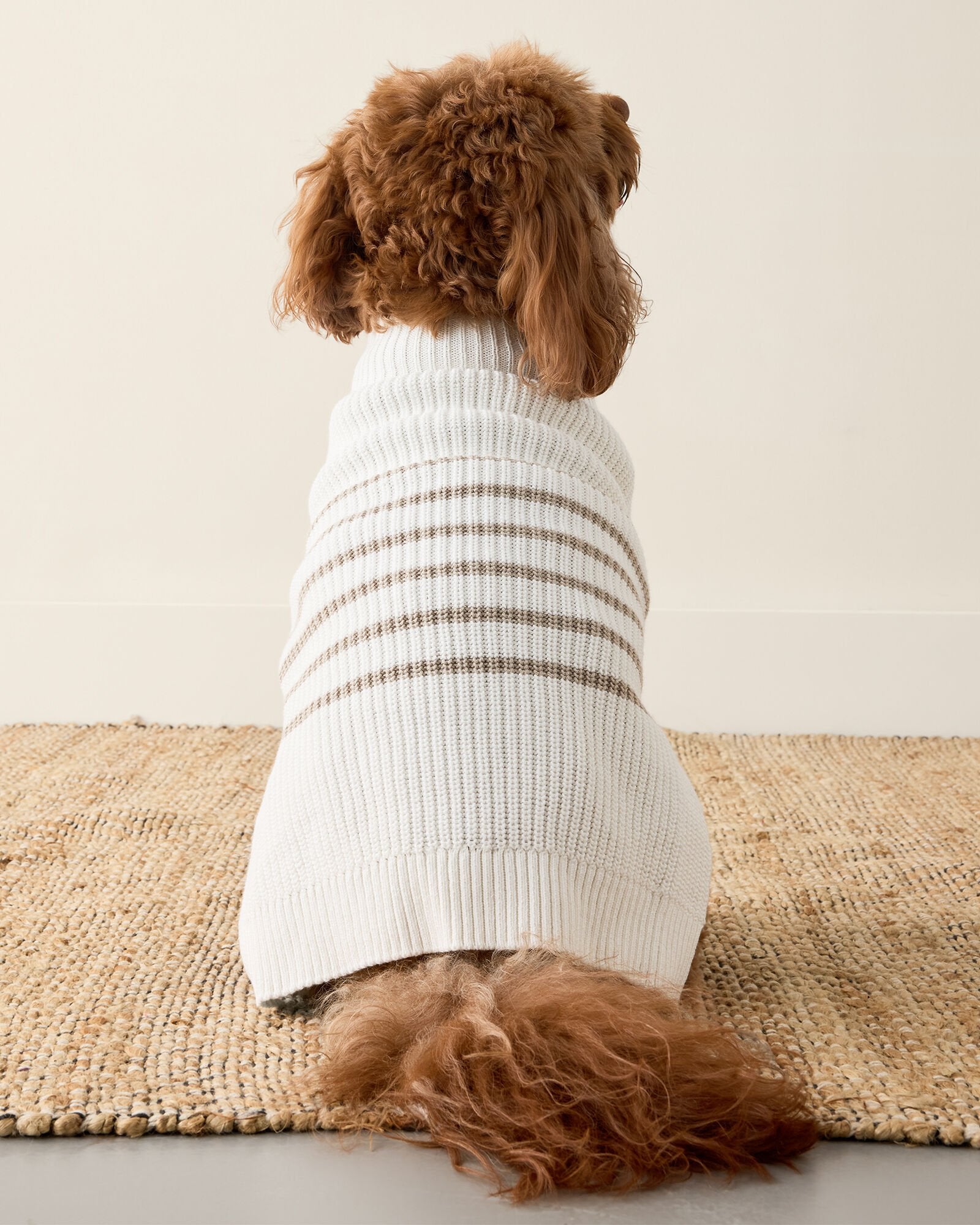 ORGANIC COTTON STRIPED DOG SWEATER