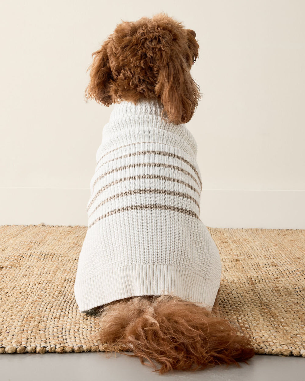ORGANIC COTTON STRIPED DOG SWEATER